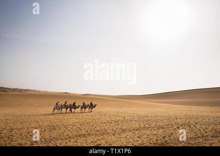 Les chameaux trekking tours guidés dans le désert de Gobi, en Chine. Caravane de chameaux à travers les dunes de sable est une activité populaire pour les touristes Banque D'Images