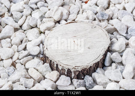 Souche d'arbre peint en blanc entouré de pierres blanches Banque D'Images