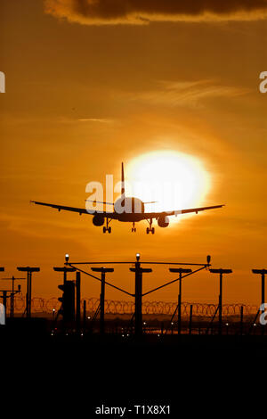 Atterrissage avion à l'aéroport d'Heathrow au coucher du soleil Banque D'Images