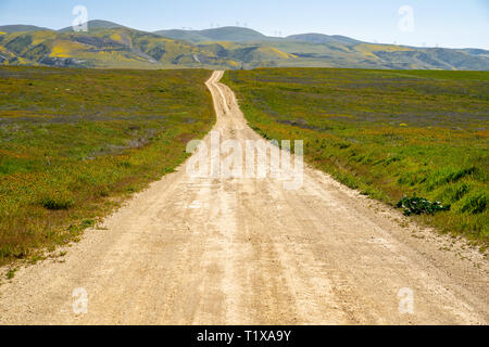 Seven Mile Road à Carrizo Plain National Monument, au cours de la Californie au printemps 2019 superbloom Banque D'Images