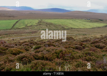 Paysage du comté de Mayo dans l'ouest de l'Irlande avec une promenade dans le Parc National de Ballycroy et les montagnes Nephin Beg au loin. Banque D'Images