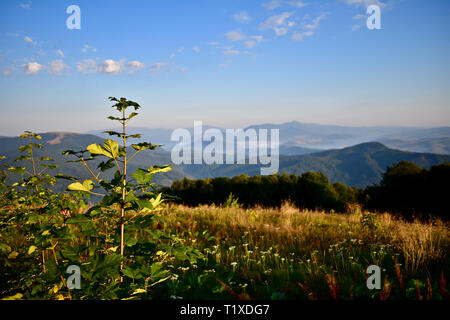 Matin vue du camping sur la plage Borzhava dans les Carpates ukrainiennes Banque D'Images