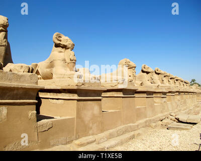 Egypte, Louxor, 07,26.2010 : Petite ruelle du sphinx à tête de bélier devant le temple de Karnak à Louxor. Monuments historiques de l'antiquité. Sites touristiques de Banque D'Images