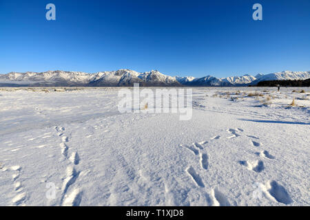 Chugach Turnagain Arm et vont de l'espoir, de l'Alaska Banque D'Images