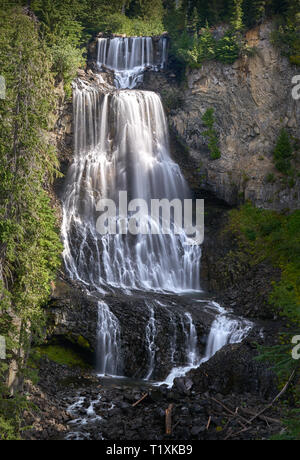 Alexander Falls, Whistler (C.-B.). Alexander spectaculaires chutes à Whistler, Colombie-Britannique, Canada. Banque D'Images