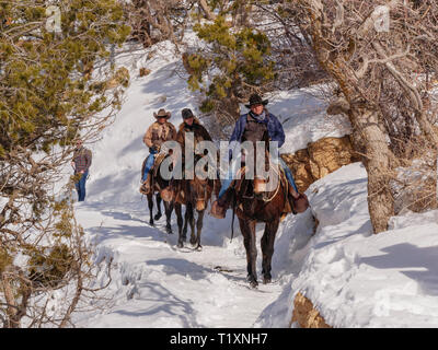 Wranglers de mulet, le Parc National du Grand Canyon, Arizona. Banque D'Images