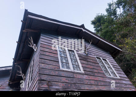 Une cabane en bois dans la forêt désert - décoré par trophies Banque D'Images