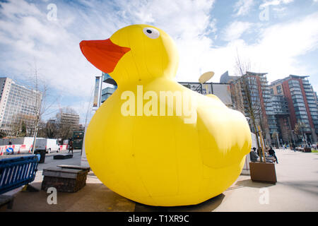 Canard en caoutchouc gonflables géants. 2019 course de canards de Manchester. Banque D'Images