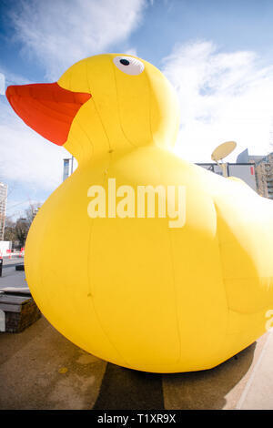 Canard en caoutchouc gonflables géants. 2019 course de canards de Manchester. Banque D'Images