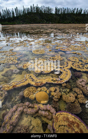 Formations de corail près de la baie de Prony, dans le sud du lagon classé au Patrimoine Mondial de l'Unesco, en Nouvelle Calédonie. Banque D'Images