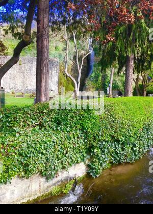 Dyserth,uk Dyserth Falls au printemps credit Ian fairbrother/Alamy news stock Banque D'Images