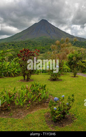 Sommet de montagne du Volcan Arenal avec des nuages et un jardin de fleurs ornementales au premier plan, la Fortuna, Costa Rica, Amérique centrale. Banque D'Images