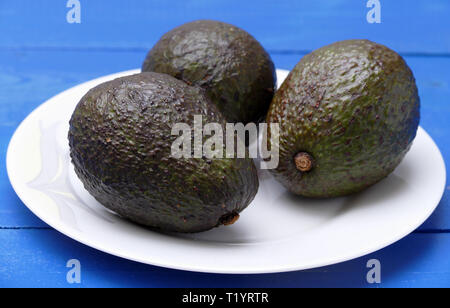 Avocat (Persea americana), lauraceae, avocat poire ou poire alligator. Banque D'Images