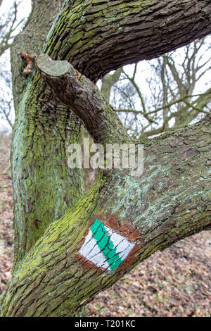 Vrch Boreč geologickým ventaroly s jevem - České středohoří, CHKO, Severní Čechy, Česká republika / Borec mount, Bohême centrale Highlands, l'arrière-boutique du Nord Banque D'Images