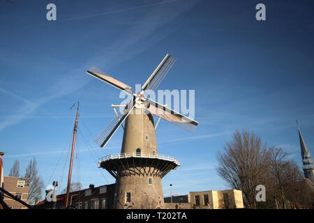 Moulin de Roode Leeuw (red lion en anglais) au centre-ville de Gouda à turfsingel aux Pays-Bas Banque D'Images