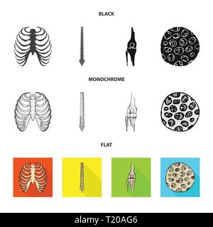 Nervure, colonne vertébrale,fémur,,fibre,cage,chiropratique,osseuses,sain,rx,base,jambe,scientifique,le corps,la colonne vertébrale,Genou,musculaires ostéoporose,tibia,,épithélium sternum,posture,péroné,épiderme,sternum,joints,tendon,mouvement,calcium cellule,chirurgie,dommage,la médecine,clinique,biologie,médical,os,,squelette anatomie,des,organes,,set,icône,,illustration,collection,isolé,design,graphisme,élément vecteur vecteurs,signer , Illustration de Vecteur