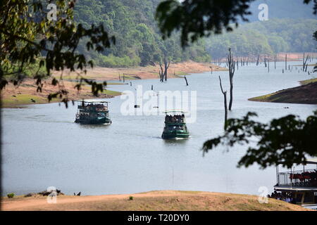 Sanctuaire animalier de Periyar thekkady Banque D'Images