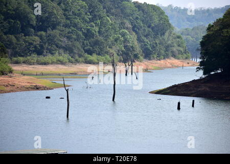 Thekkady Lake vue nautique au Parc National Periyar Banque D'Images