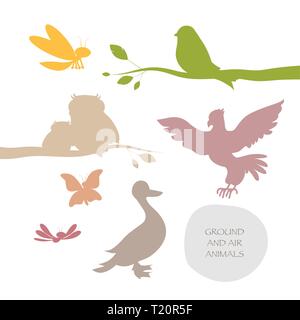 Silhouettes d'oiseaux et insectes volants isolé sur fond blanc Illustration de Vecteur