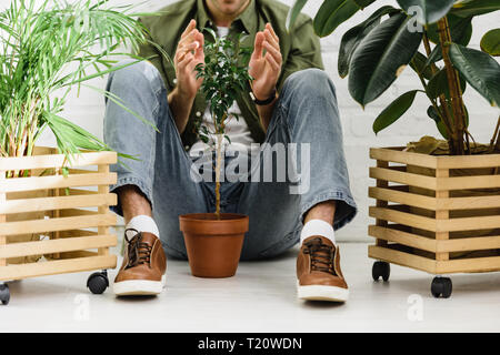 Portrait de l'homme en chemise et lunettes assis près de pots avec des plantes et de brique wall in office Banque D'Images