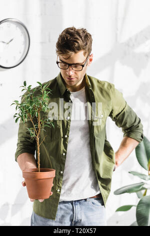 Homme sérieux en shirt et lunettes holding pot avec plante près de brick wall in office Banque D'Images