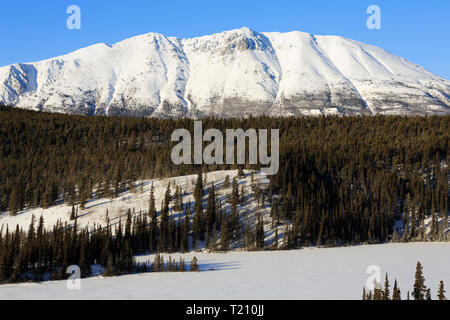 Emerald Lake, Yukon, Canada Banque D'Images