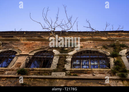 Un grand bâtiment ancien à partir de laquelle les arbres pousser. Un immeuble ancien avec windows sur laquelle sont les grilles. La Turquie Banque D'Images