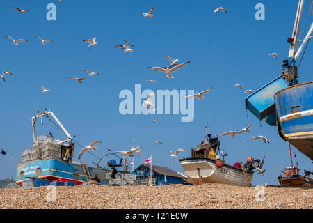 Hastings East Sussex, UK, mouettes ronde swirl Hastings bateaux de pêche sur une journée chaude et ensoleillée sur la vieille ville Stade plage des pêcheurs. Avec plus de 25 bateaux Hastings a la plus grande plage de la flotte de pêche commerciale lancée en Europe. Banque D'Images