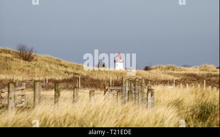 Prestatyn, Nord du Pays de Galles, Royaume-Uni. Mar 29, 2019. Soleil de Printemps et de la chaleur dans le Nord du Pays de Galles Crédit : IAN Fairbrother/Alamy Live News Banque D'Images