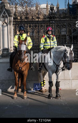 Londres, Royaume-Uni. 29 mars 2019. Brexit manifestations devant le parlement à Londres, au Royaume-Uni. Crédit : Jason Wood/Alamy Live News. Banque D'Images