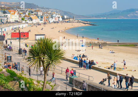 Lyme Regis, dans le Dorset, UK. Le 24 mars 2019. Météo France : week-end visiteurs affluent à la pittoresque ville côtière de Lyme Regis pour se prélasser au soleil chaud car les températures montent à 18 degrés celsius dans la canicule du printemps. On prévoit des conditions plus fraîches pour dimanche. Credit : Celia McMahon/Alamy Live News Banque D'Images