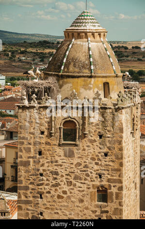 Nid de cigognes sur le dessus de la tour gothique avec coupole et du paysage rural à Trujillo. Ville de naissance du conquistador Francisco Pizarro en Espagne. Banque D'Images