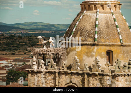 Nid de cigognes sur le dessus de la tour gothique avec coupole et du paysage rural à Trujillo. Ville de naissance du conquistador Francisco Pizarro en Espagne. Banque D'Images