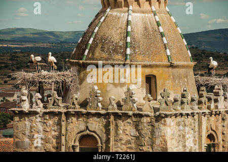 Nid de cigognes sur le dessus de la tour gothique avec coupole et du paysage rural à Trujillo. Ville de naissance du conquistador Francisco Pizarro en Espagne. Banque D'Images