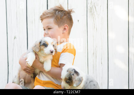 Un petit garçon de cinq ans est assis sur une pelouse entourée de corgi chiots contre une clôture blanche. L'amitié des animaux et des enfants. Banque D'Images