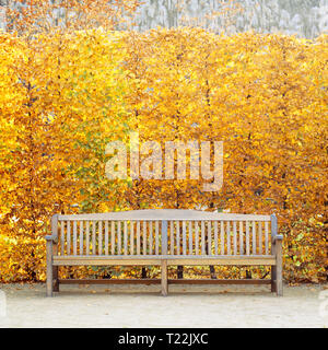 Banc de parc en bois vide et haie avec golden couleurs d'automne au jardin Wallenstein en automne, Mala Strana, Prague, République Tchèque Banque D'Images