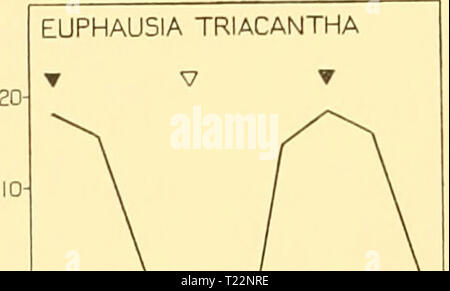 Image d'archive à partir de la page 99 des rapports de découverte (1934) rapports de découverte discoveryreports09inst Année : 1934 PLEUROMAMMA ROBUSTA Banque D'Images