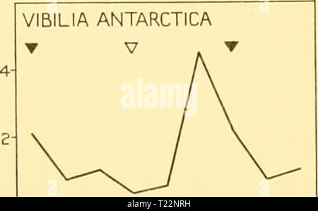 Image d'archive à partir de la page 99 des rapports de découverte (1934) rapports de découverte discoveryreports09inst Année : 1934 Banque D'Images