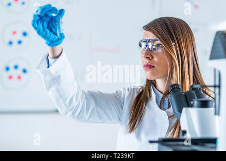 La recherche en laboratoire scientifique. Banque D'Images