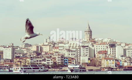 Vue d'Istanbul avec la tour de Galata à skyline de Eminonu. Mouette voler au-dessus de la corne à l'avant-plan. Banque D'Images