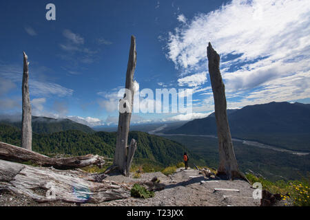 Les arbres étranges détruit par l'éruption du volcan Chaitén Pumalin, Parc National, Patagonie, Chaitén, Chili Banque D'Images