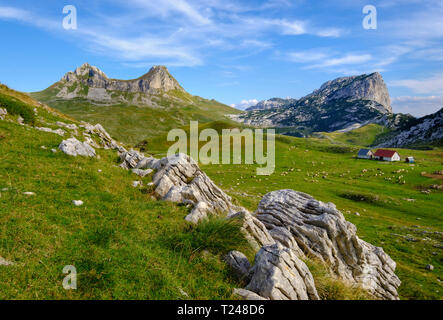 Le Monténégro, parc national de Durmitor, massif du Durmitor, alpage, Sarban, montagnes Sedlo et Boljska Greda Banque D'Images