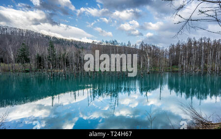 Biei, District de Kamikawa, Hokkaido Prefecture, Japan. Le 5 mai 2016. Reflets dans le ciel du Bassin Bleu Shirogane (Aoi-IKE). Banque D'Images