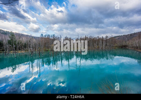 Reflets dans le ciel du Bassin Bleu Shirogane (Aoi-ike) situé dans le district de Biei, Kamikawa, Hokkaido Prefecture, Japan. Banque D'Images