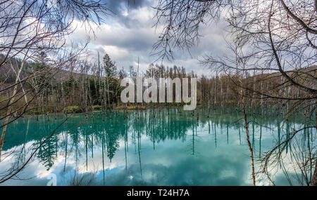 Biei, District de Kamikawa, Hokkaido Prefecture, Japan. Le 5 mai 2016. Reflets dans le ciel du Bassin Bleu Shirogane (Aoi-IKE). Banque D'Images