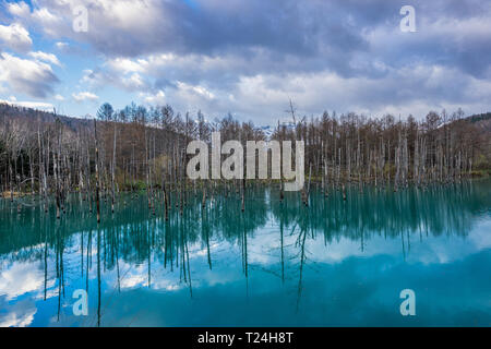 Reflets dans le ciel du Bassin Bleu Shirogane (Aoi-ike) situé dans le district de Biei, Kamikawa, Hokkaido Prefecture, Japan. Banque D'Images