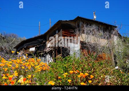 Point de vue, dans la petite ville de Miami, Arizona. Banque D'Images