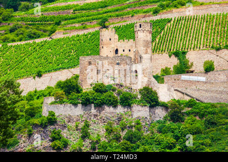Ehrenfels Burg Castle est un château en ruine au-dessus du Rhin, près de la ville de Rudesheim am Rhein en Allemagne Banque D'Images