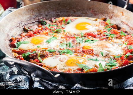 Shakshuka dans une poêle. Plat traditionnel du Moyen-Orient avec les œufs, tomates, poivrons, légumes et fines herbes. Banque D'Images