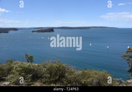 Avis de Lion Island, Broken Bay et du centre de la côte à l'arrière-plan de West Head (Ku-ring-gai Chase National Park, NSW, Australie) Banque D'Images